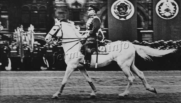 Фото маршал Жуков на белом коне Кумир Терской породы