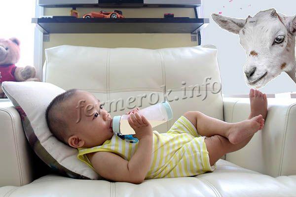 Дети, которые часто пьют козье молоко, редко болеют