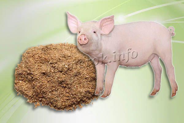 Дрожжи для свиней являются крайне полезными, и прежде всего, регулируют работу желудка