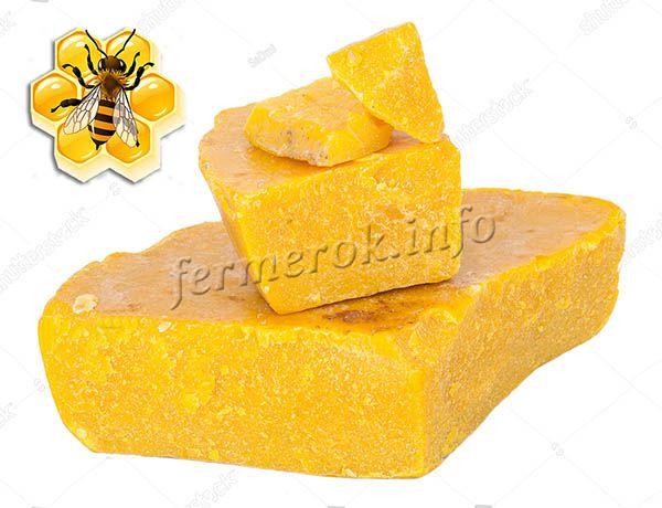 Пчелиный воск – это продукт жизнедеятельности пчел