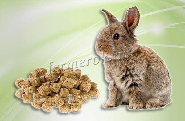 В случае кормления кролей кормовые дрожжи позволяют заменить до 30% белковой еды