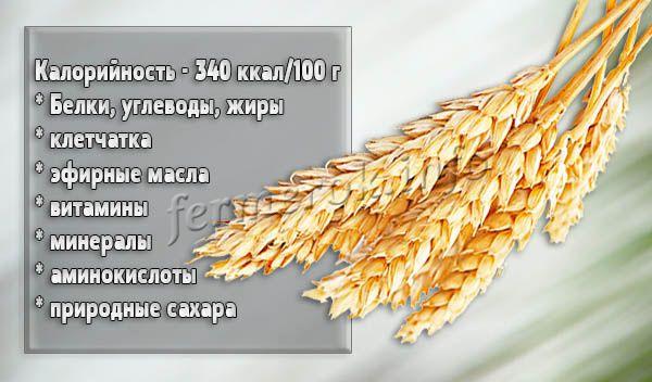 Твердая пшеница обладает своими уникальными биологическими признаками