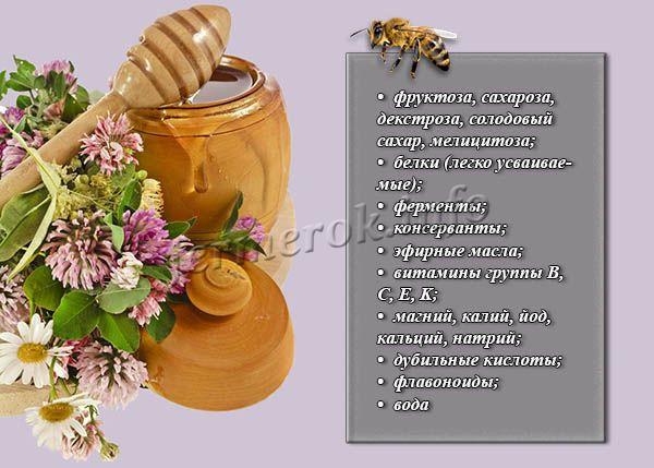 Мед из белого клевера полезные свойства и противопоказания thumbnail