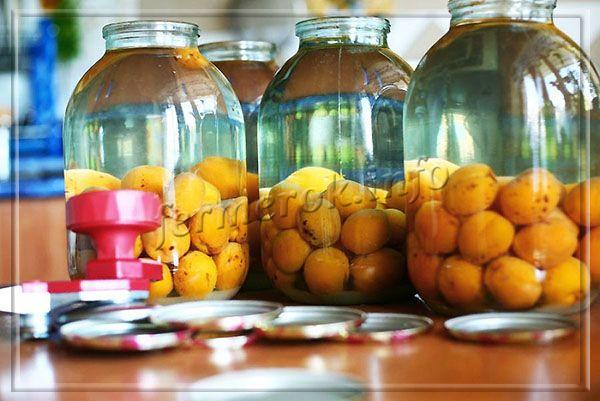 Простой рецепт компота из абрикосов