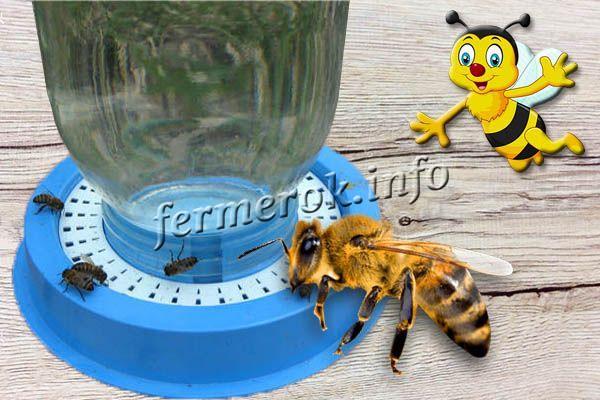 Фото вакуумной поилки для пчел