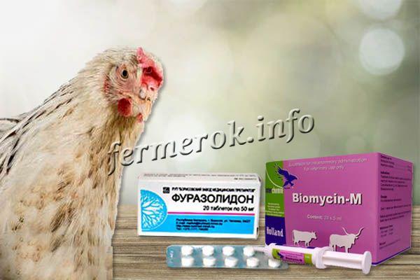Для лечения пуллороза применяют препарат «Биомицин» с добавлением «Фуразолидона»