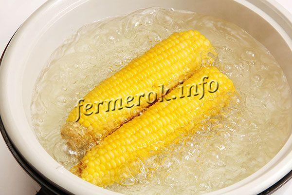 Как варить молодую кукурузу в кастрюле