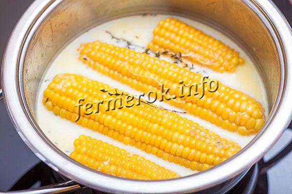 Рецепт кукурузы в молоке
