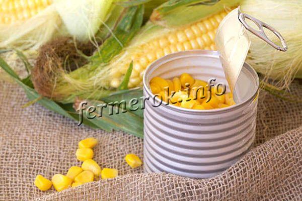 Консервированная кукуруза содержит примерно 119 ккал на каждые 100 г