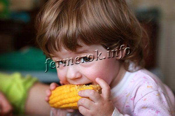 Кукуруза для деток не только полезна, но и необходима