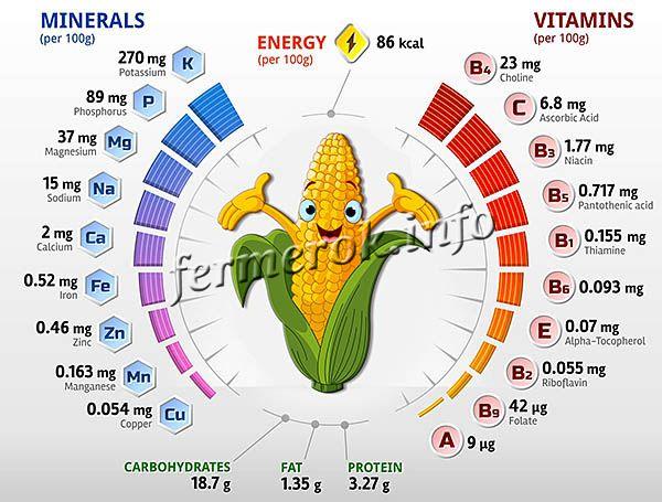 Состав и пищевая ценность кукурузы