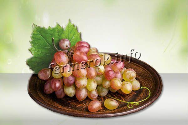Виноград Анюта имеет высокие товарные качества