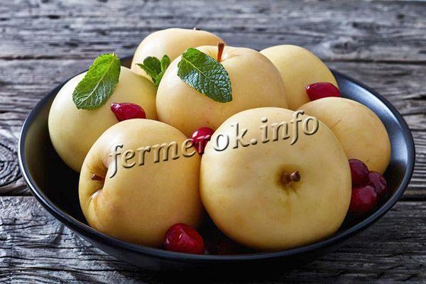 В моченом виде яблоки Богатырь получаются превосходные и отличаются отменным вкусом