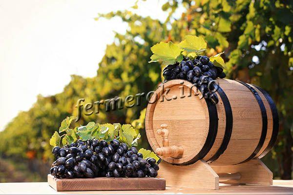 Из винограда Юпитер получается вкусный сок, компоты и, конечно же, вино