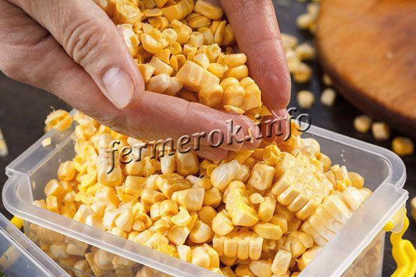 В холодильной камере зерна кукурузы могут храниться до 1,5 лет
