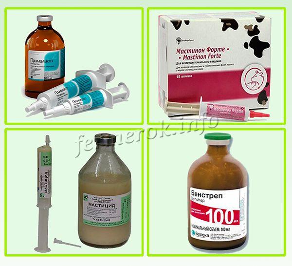 Препараты для лечения мастита у коров